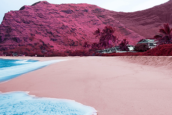 Red Sea Coast