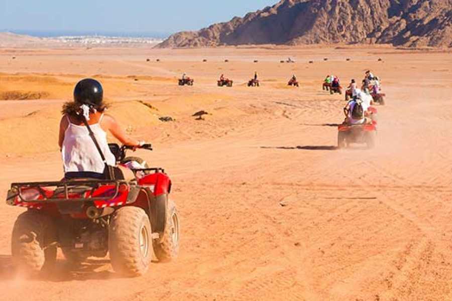 Mediterranean and  Redsea