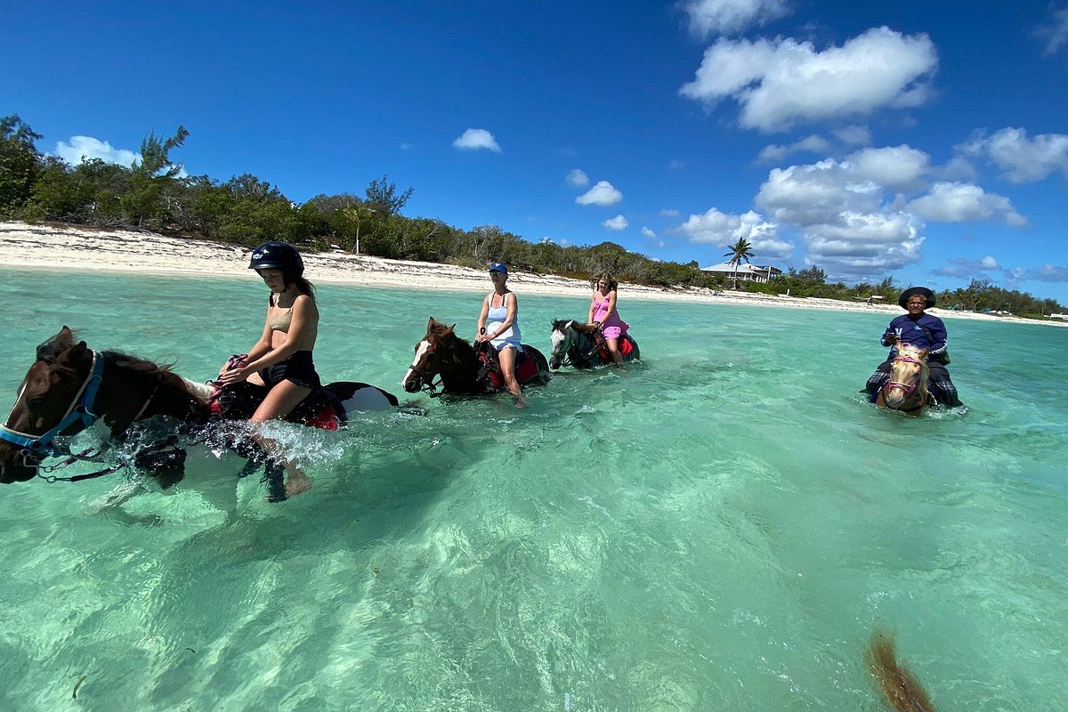Beach Horse Riding and Swim