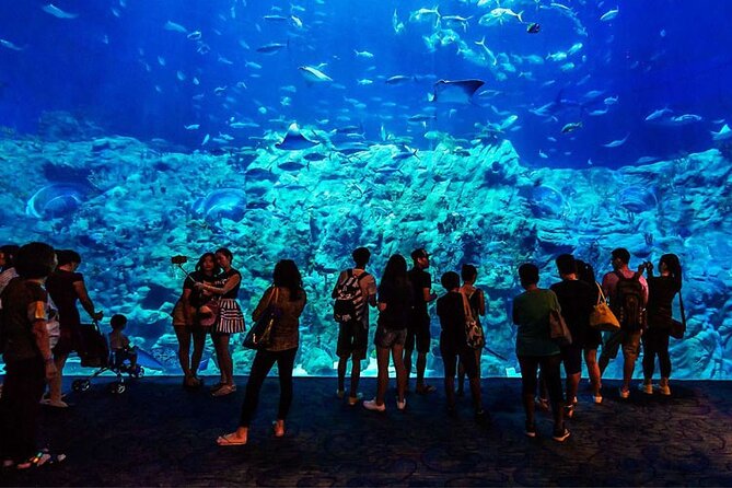 Grand Aquarium Hurghada: Transfers & Entry Ticket - photo 3