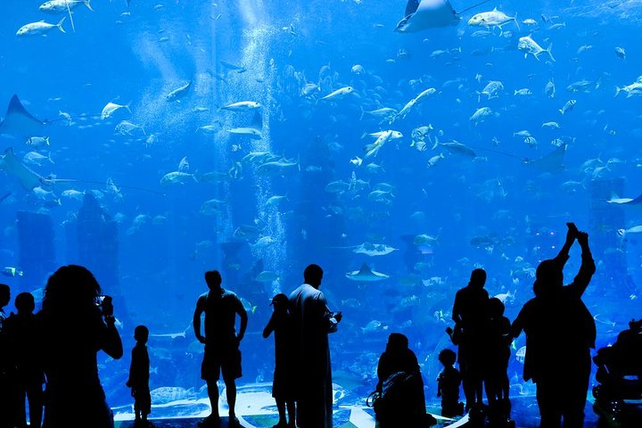Grand Aquarium Hurghada: Transfers & Entry Ticket - photo 4