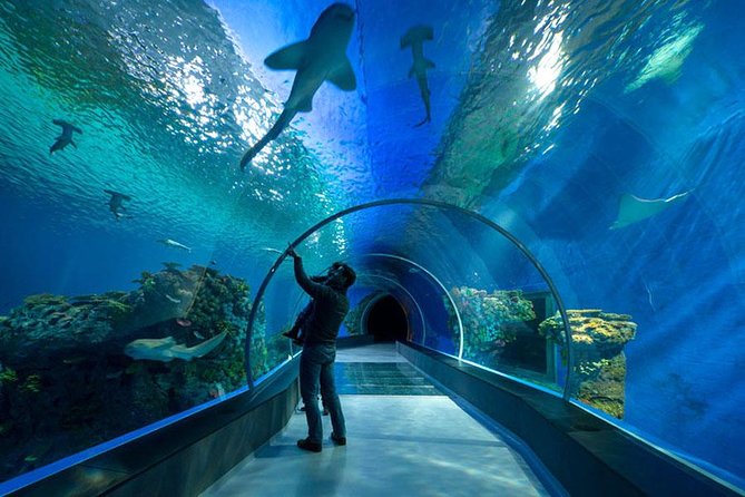 Grand Aquarium Hurghada: Transfers & Entry Ticket - photo 2