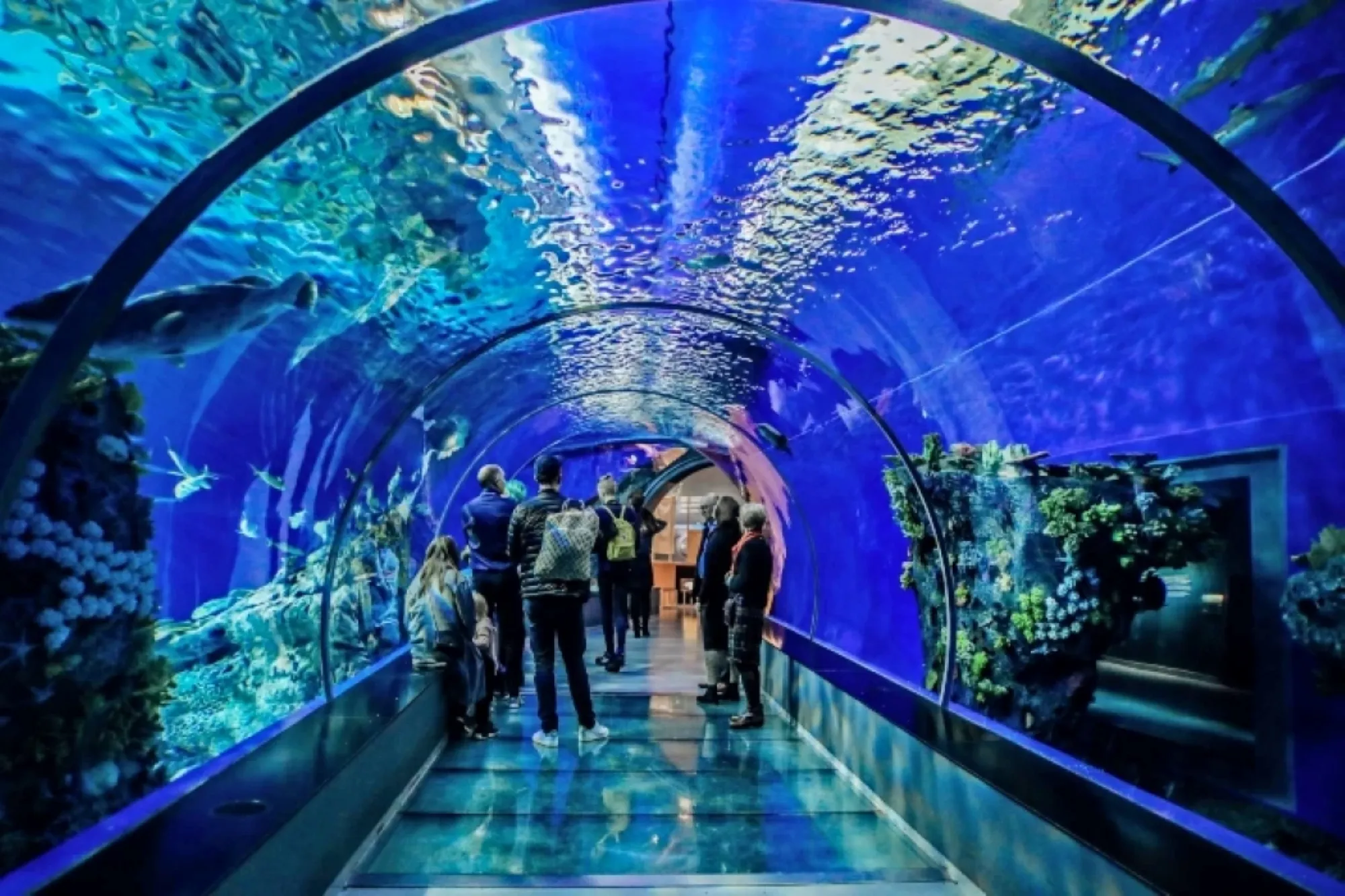 Grand Aquarium Hurghada: Transfers & Entry Ticket - photo 8