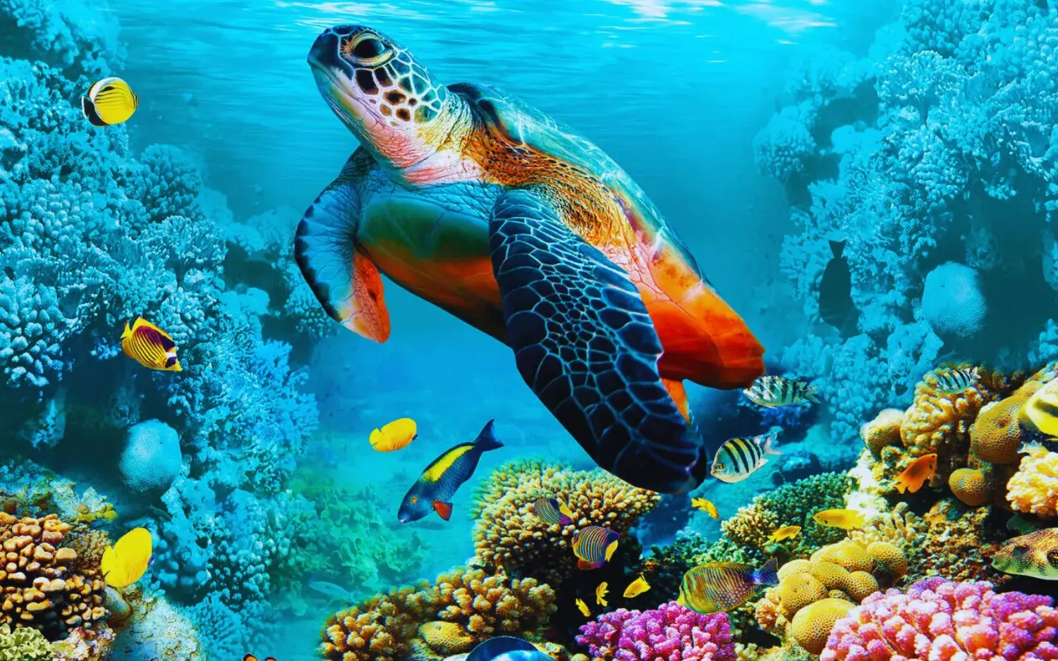 Grand Aquarium Hurghada: Transfers & Entry Ticket - photo 9