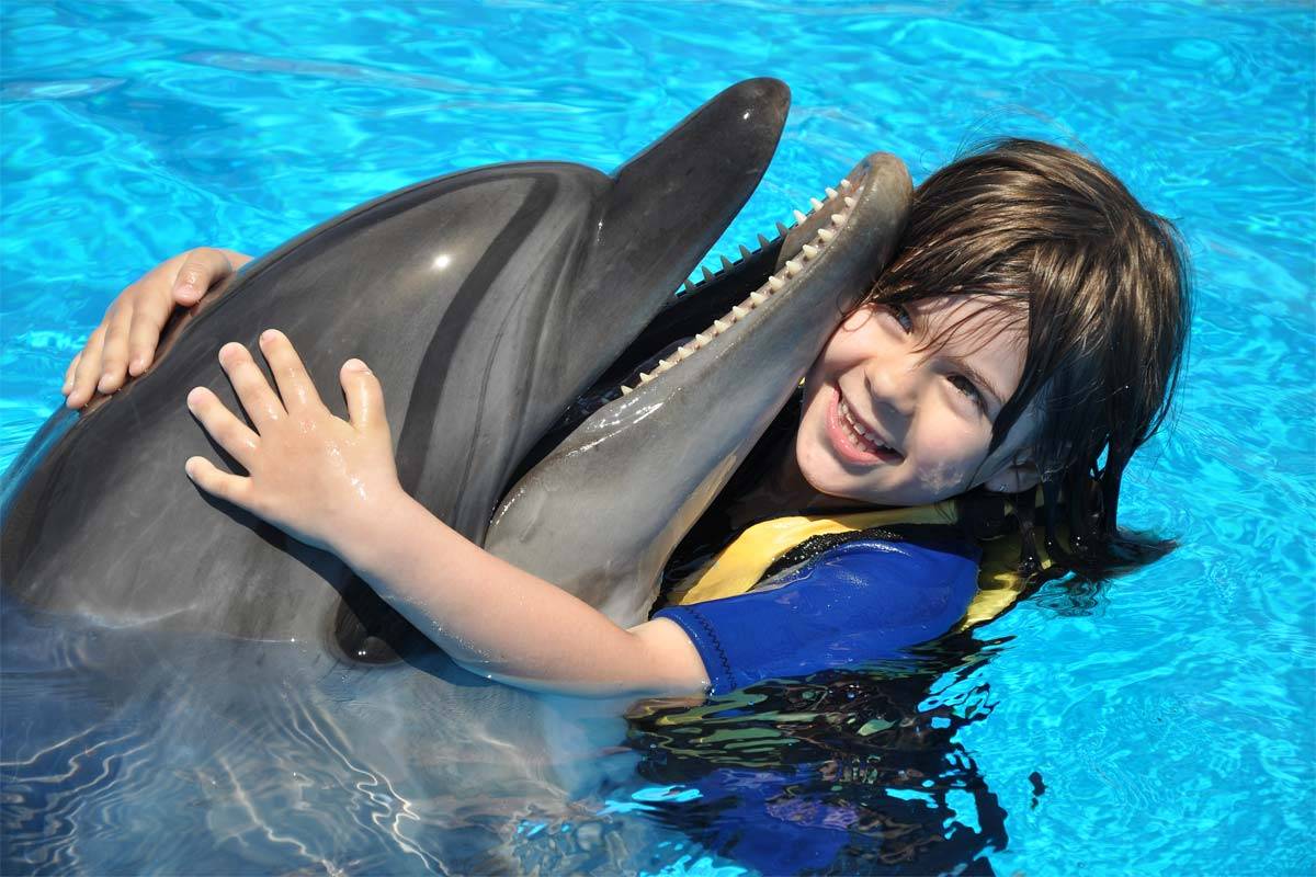 Hurghada: Dolphin House Swim with Dolphins & Lunch