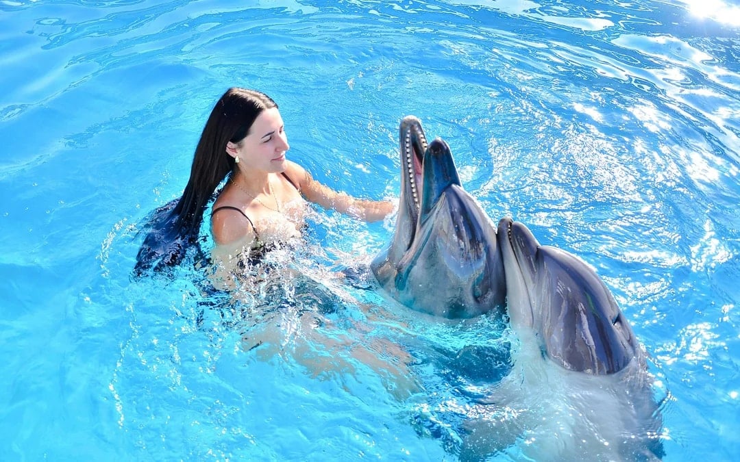 Hurghada: Dolphin House Swim with Dolphins & Lunch - photo 1