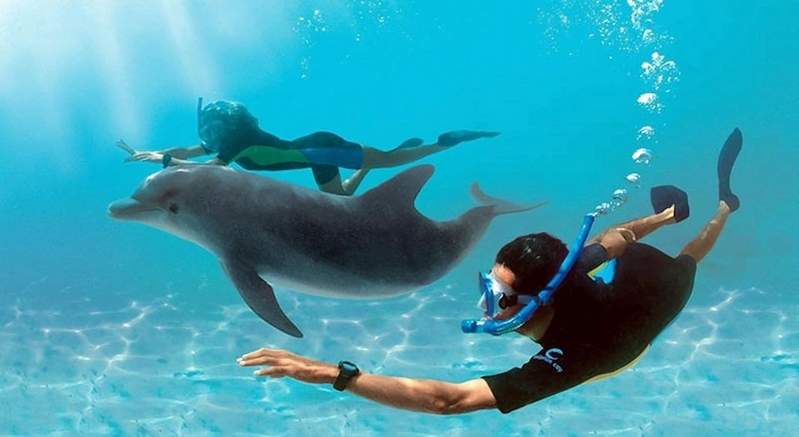 Hurghada: Dolphin House Swim with Dolphins & Lunch - photo 7