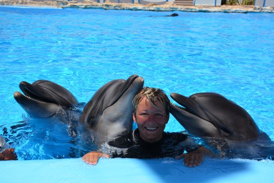 Hurghada: Dolphin World Show - photo 7