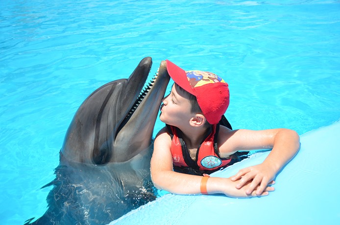 Hurghada: Dolphin World Show - photo 8