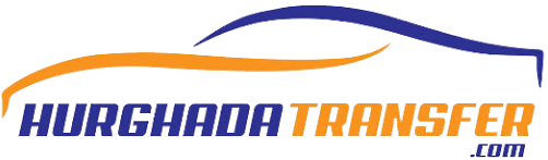 logo img