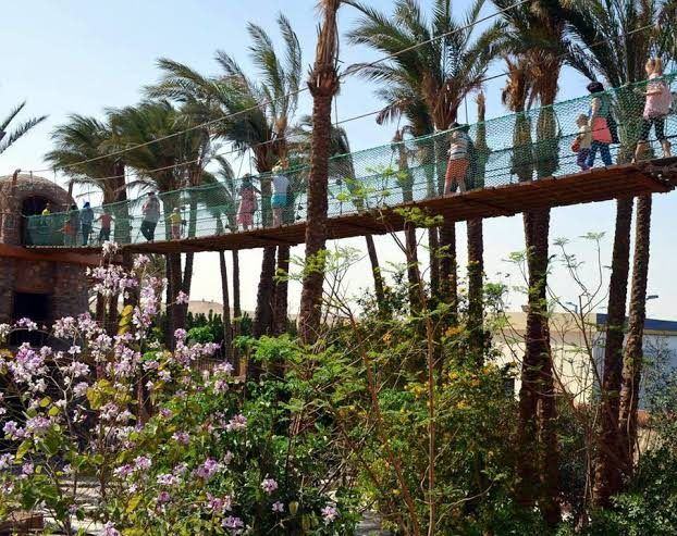 Grand Aquarium Hurghada: Transfers & Entry Ticket
