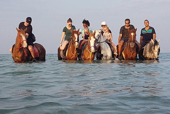 Beach Horse Riding and Swim