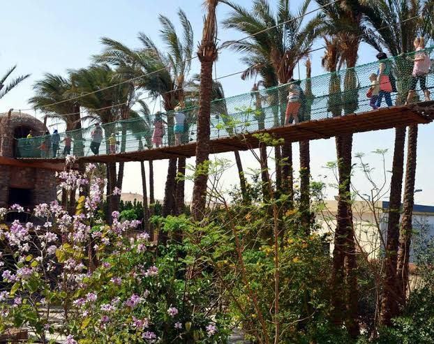 Grand Aquarium Hurghada: Transfers & Entry Ticket