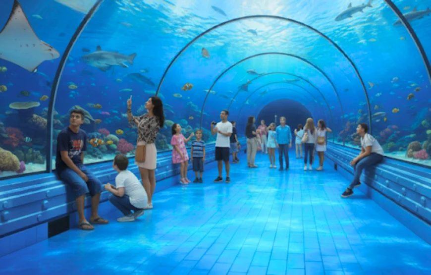 Grand Aquarium Hurghada: Transfers & Entry Ticket