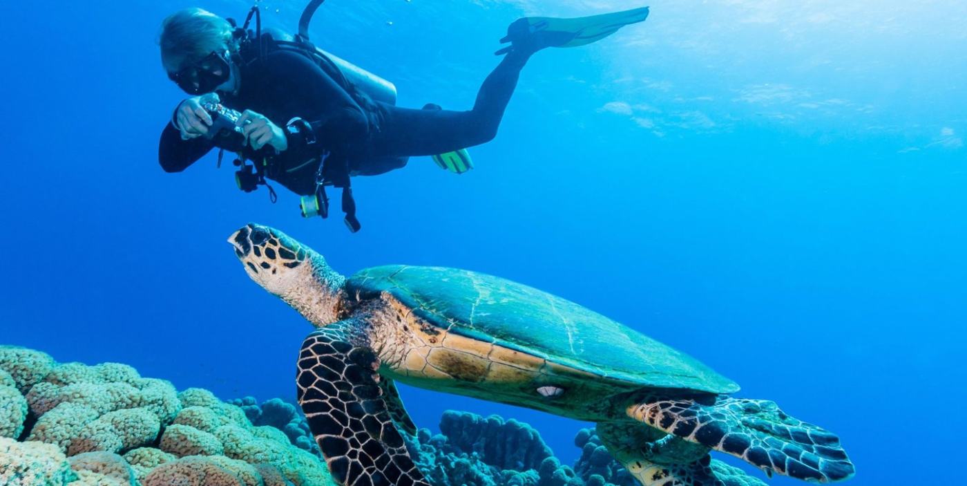 Hula Hula Island Boat Trip with Snorkelling & Lunch