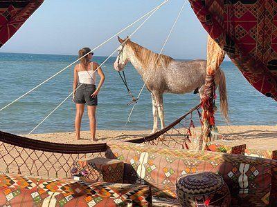 Hurghada: Desert Adventure Quads, Jeep, Camel Ride, Dinner & Show