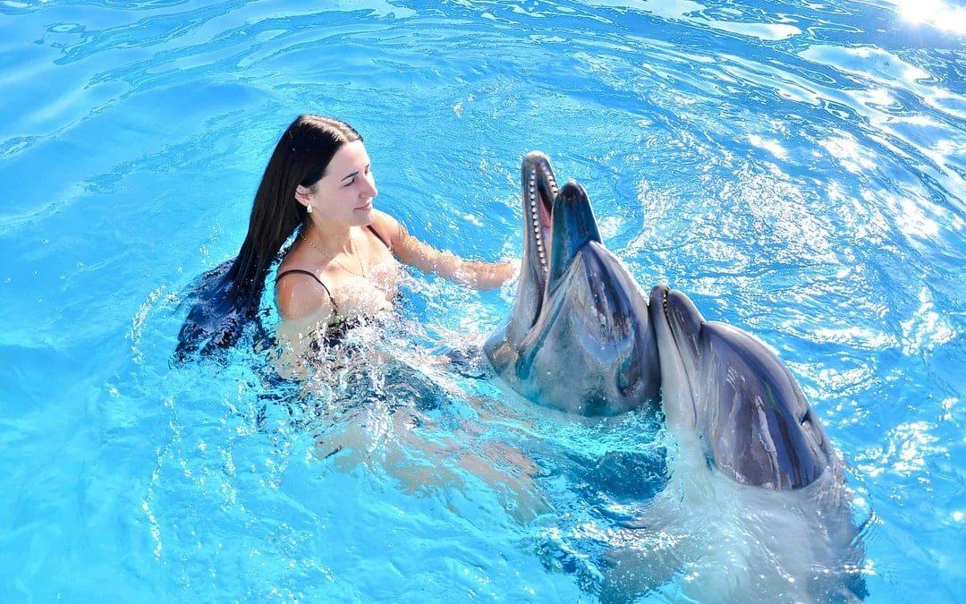 Hurghada: Dolphin House Swim with Dolphins & Lunch