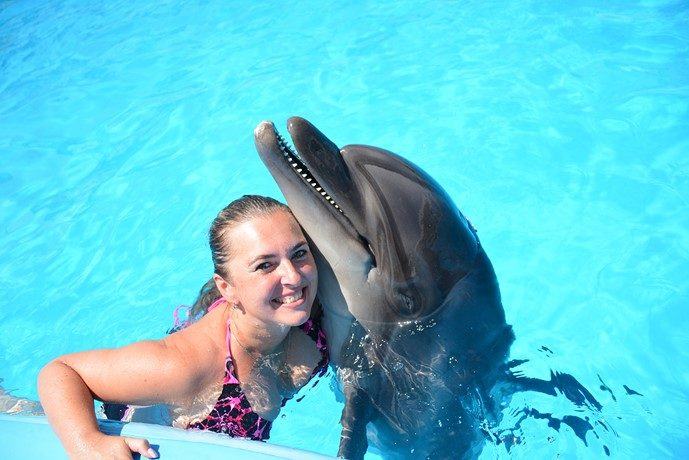Hurghada: Dolphin House Swim with Dolphins & Lunch