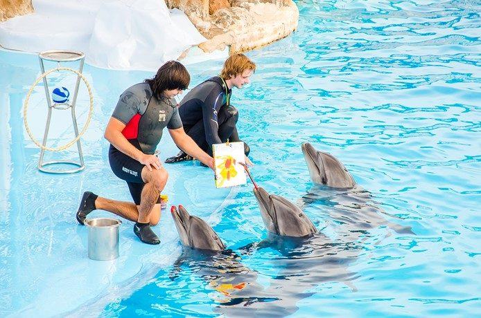 Hurghada: Dolphin World Show