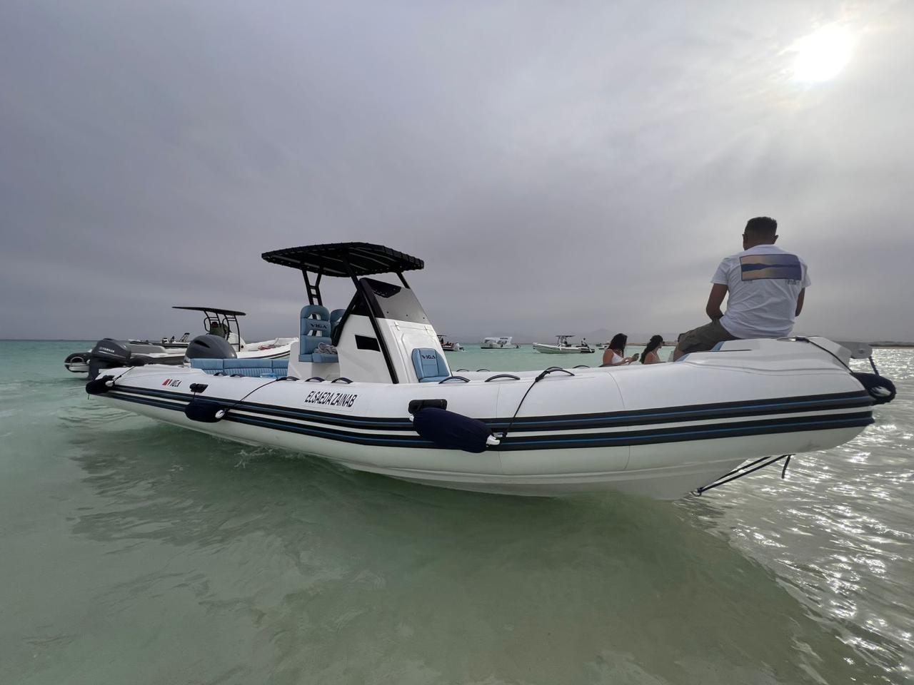 Hurghada: Private Speedboat, Dolphins, Snorkeling & Islands