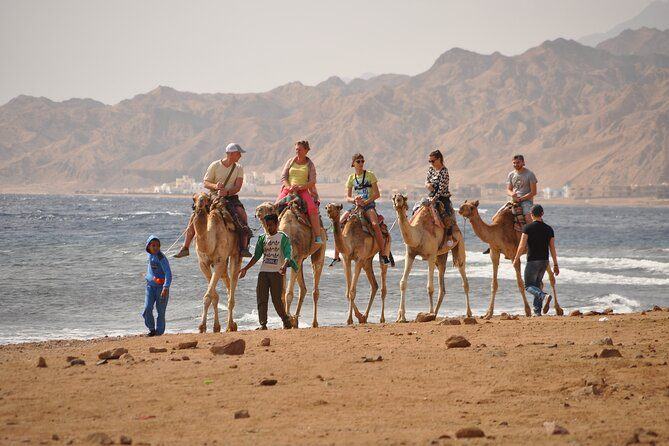 Sharm El Sheikh: Jeep, Colored Canyon, Camel, ATV & Dahab