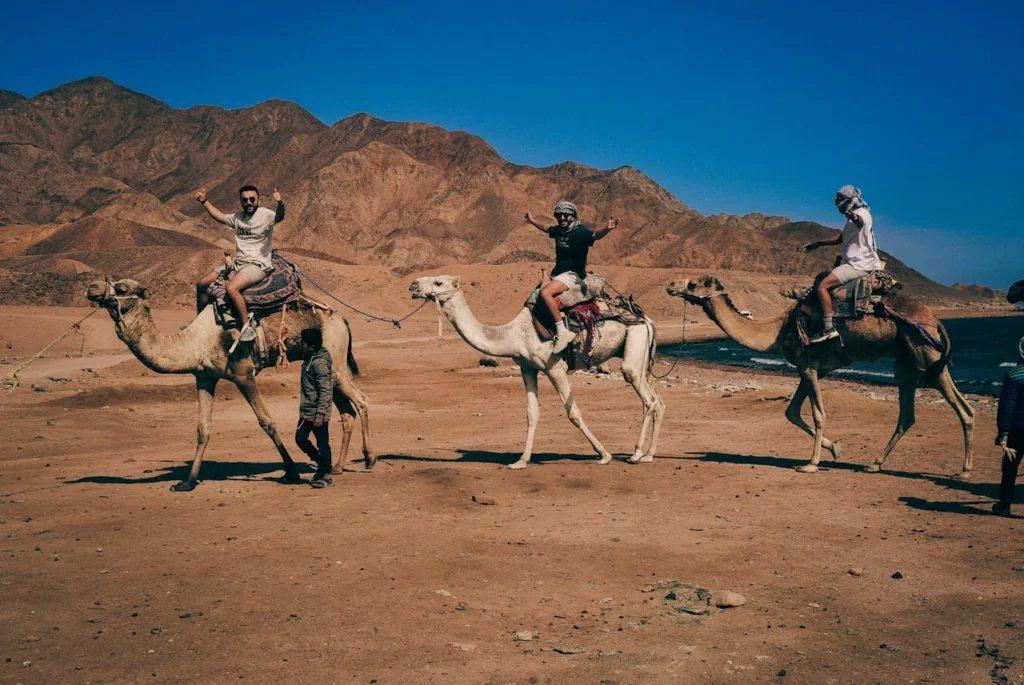 Sharm El Sheikh: Jeep, Colored Canyon, Camel, ATV & Dahab